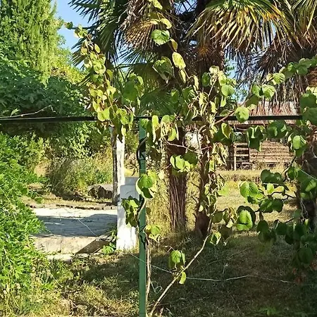 Les Falaises Holiday home *